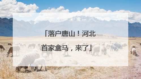 落户唐山！河北首家盒马，来了