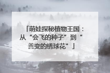萌娃探秘植物王国：从“会飞的种子”到“善变的绣球花”