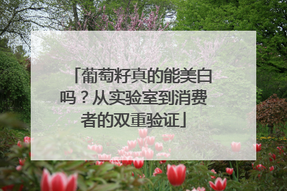 葡萄籽真的能美白吗？从实验室到消费者的双重验证