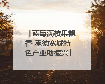 蓝莓满枝果飘香 承德宽城特色产业助振兴