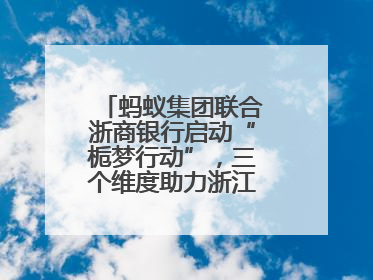 蚂蚁集团联合浙商银行启动“栀梦行动”，三个维度助力浙江下姜村建设共富示范区示范点