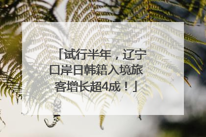 试行半年，辽宁口岸日韩籍入境旅客增长超4成！