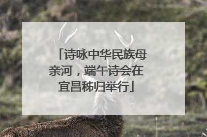 诗咏中华民族母亲河，端午诗会在宜昌秭归举行