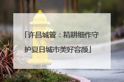 许昌城管：精耕细作守护夏日城市美好容颜
