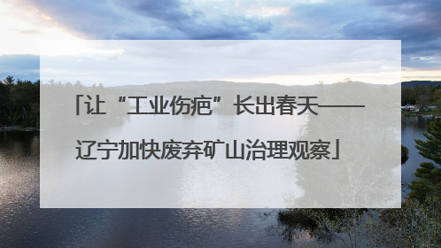 让“工业伤疤”长出春天——辽宁加快废弃矿山治理观察