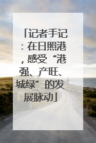 记者手记：在日照港，感受“港强、产旺、城绿”的发展脉动