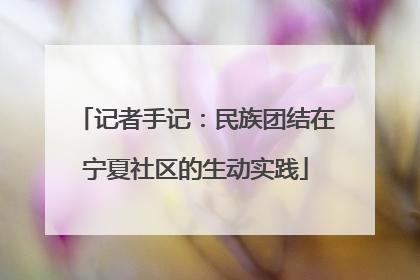 记者手记：民族团结在宁夏社区的生动实践