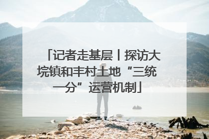 记者走基层丨探访大垸镇和丰村土地“三统一分”运营机制