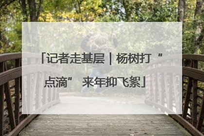 记者走基层｜杨树打“点滴” 来年抑飞絮
