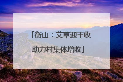 衡山：艾草迎丰收 助力村集体增收