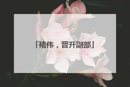 褚伟，晋升副部