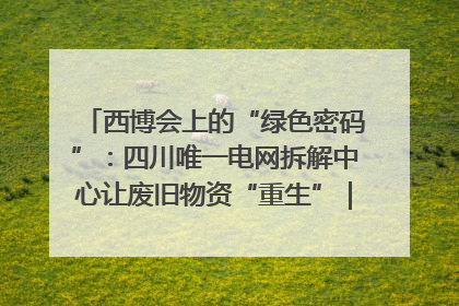 西博会上的“绿色密码”：四川唯一电网拆解中心让废旧物资“重生”｜西博寻“新”记