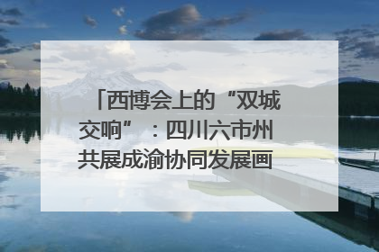 西博会上的“双城交响”：四川六市州共展成渝协同发展画卷｜西博视界