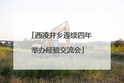 西凌井乡连续四年举办经验交流会