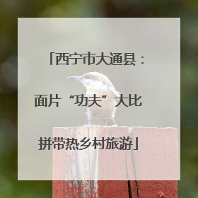 西宁市大通县：面片“功夫”大比拼带热乡村旅游