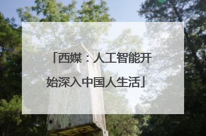 西媒：人工智能开始深入中国人生活