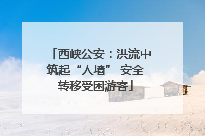 西峡公安：洪流中筑起“人墙” 安全转移受困游客