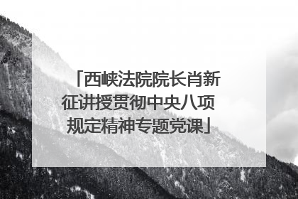 西峡法院院长肖新征讲授贯彻中央八项规定精神专题党课