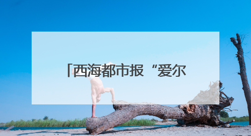 西海都市报“爱尔眼科杯”第11届社区嘉年华 第二场海选燃爆大新街夜市