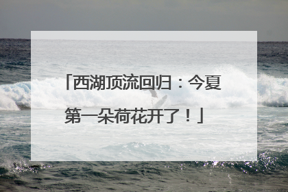 西湖顶流回归：今夏第一朵荷花开了！