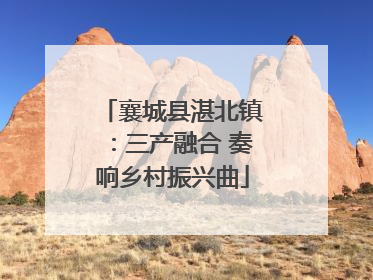 襄城县湛北镇：三产融合 奏响乡村振兴曲