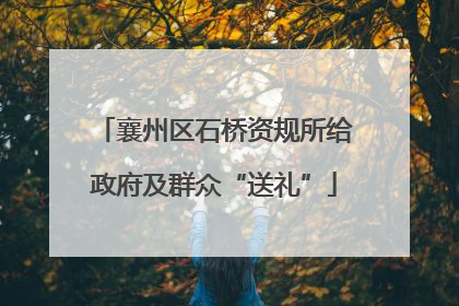 襄州区石桥资规所给政府及群众“送礼”