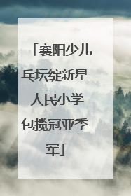 襄阳少儿乓坛绽新星 人民小学包揽冠亚季军