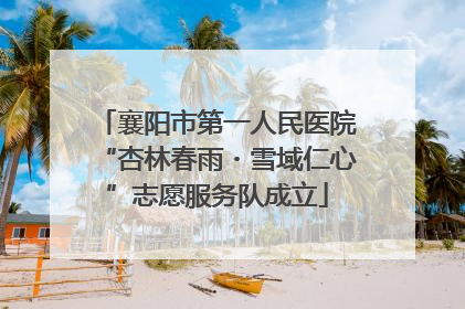 襄阳市第一人民医院“杏林春雨・雪域仁心”志愿服务队成立