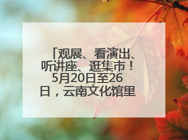 观展、看演出、听讲座、逛集市！5月20日至26日，云南文化馆里玩场多