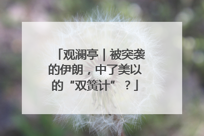 观澜亭｜被突袭的伊朗，中了美以的“双簧计”？