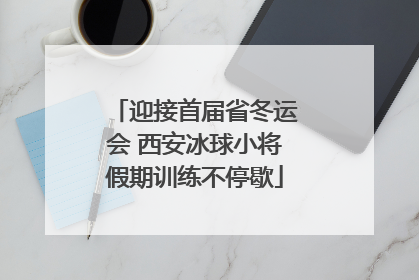 迎接首届省冬运会 西安冰球小将假期训练不停歇