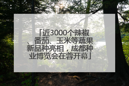 近3000个辣椒、番茄、玉米等蔬果新品种亮相，成都种业博览会在蓉开幕