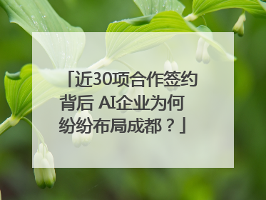 近30项合作签约背后 AI企业为何纷纷布局成都？