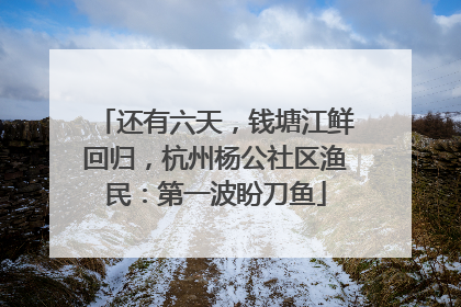 还有六天，钱塘江鲜回归，杭州杨公社区渔民：第一波盼刀鱼