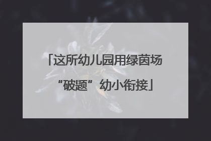 这所幼儿园用绿茵场“破题”幼小衔接
