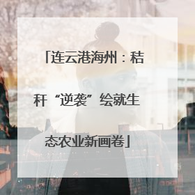 连云港海州：秸秆“逆袭”绘就生态农业新画卷