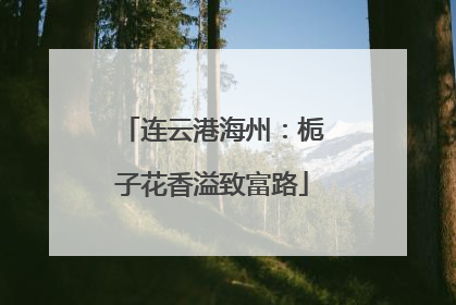 连云港海州：栀子花香溢致富路