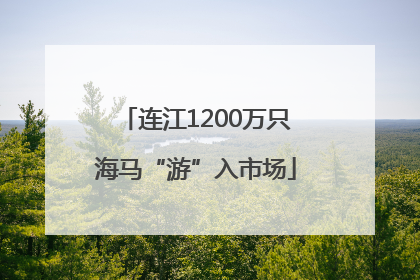 连江1200万只海马“游”入市场