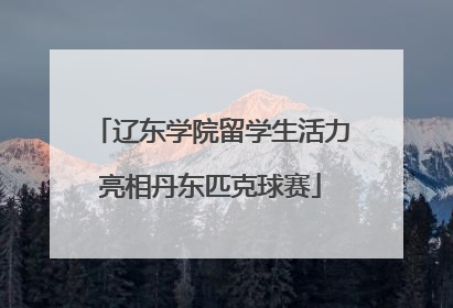 辽东学院留学生活力亮相丹东匹克球赛