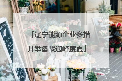 辽宁能源企业多措并举备战迎峰度夏