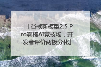 谷歌新模型2.5 Pro霸榜AI竞技场，开发者评价两极分化