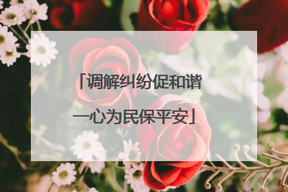 调解纠纷促和谐 一心为民保平安