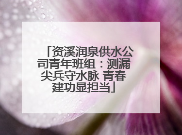 资溪润泉供水公司青年班组：测漏尖兵守水脉 青春建功显担当