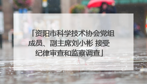 资阳市科学技术协会党组成员、副主席刘小彬 接受纪律审查和监察调查