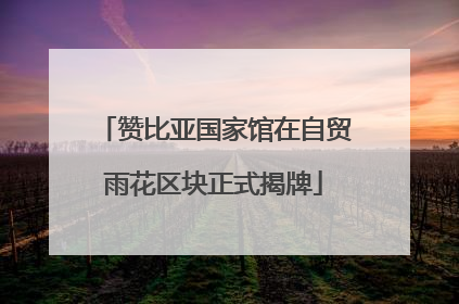 赞比亚国家馆在自贸雨花区块正式揭牌