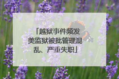 越狱事件频发 美监狱被批管理混乱、严重失职