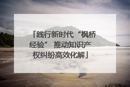 践行新时代“枫桥经验” 推动知识产权纠纷高效化解