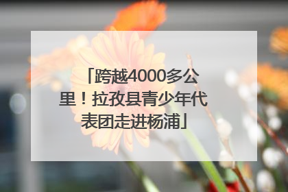 跨越4000多公里！拉孜县青少年代表团走进杨浦
