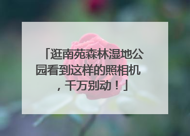 逛南苑森林湿地公园看到这样的照相机，千万别动！