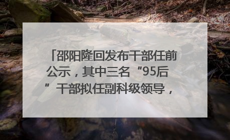 邵阳隆回发布干部任前公示，其中三名“95后”干部拟任副科级领导，均系硕士选调生